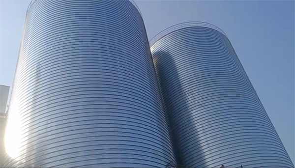 龙岗2座混凝土高架卷板仓